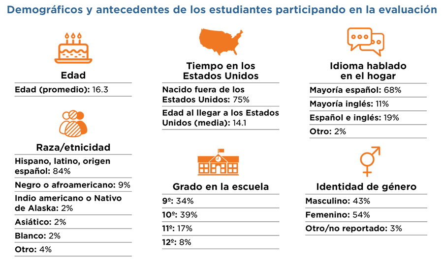 Demographics and background of students participating in the evaluation